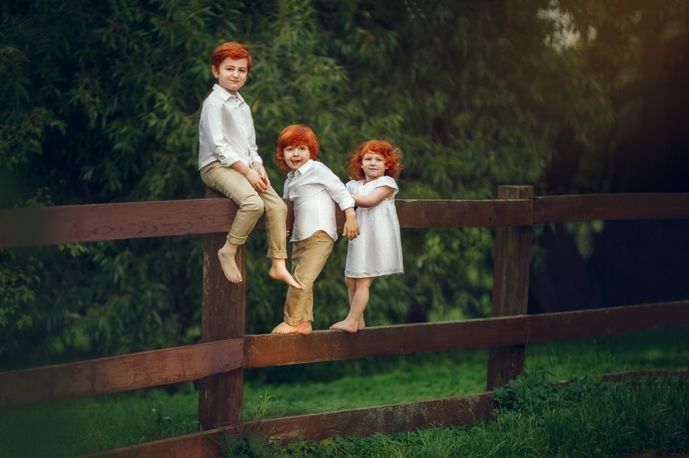 Photograph by Костюк Зоя