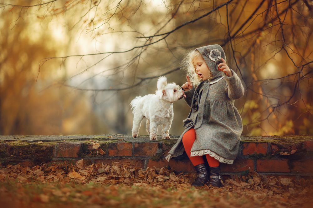 Photograph by Костюк Зоя