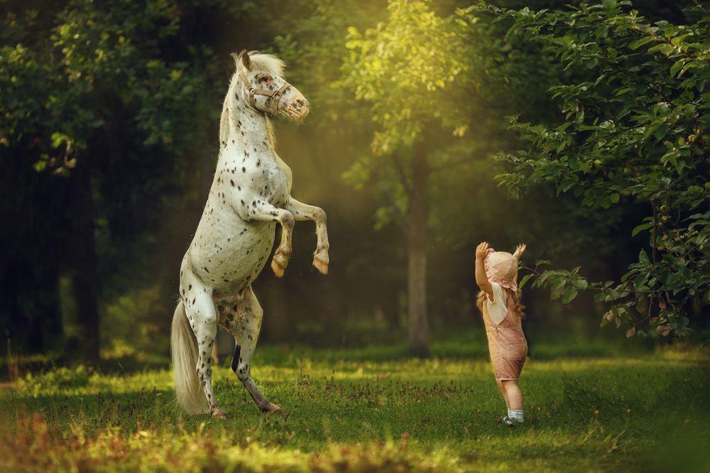 Photograph by Костюк Зоя