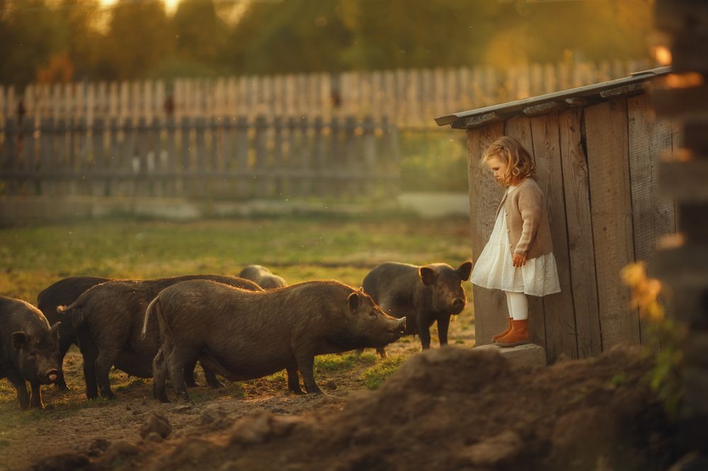 Photograph by Костюк Зоя