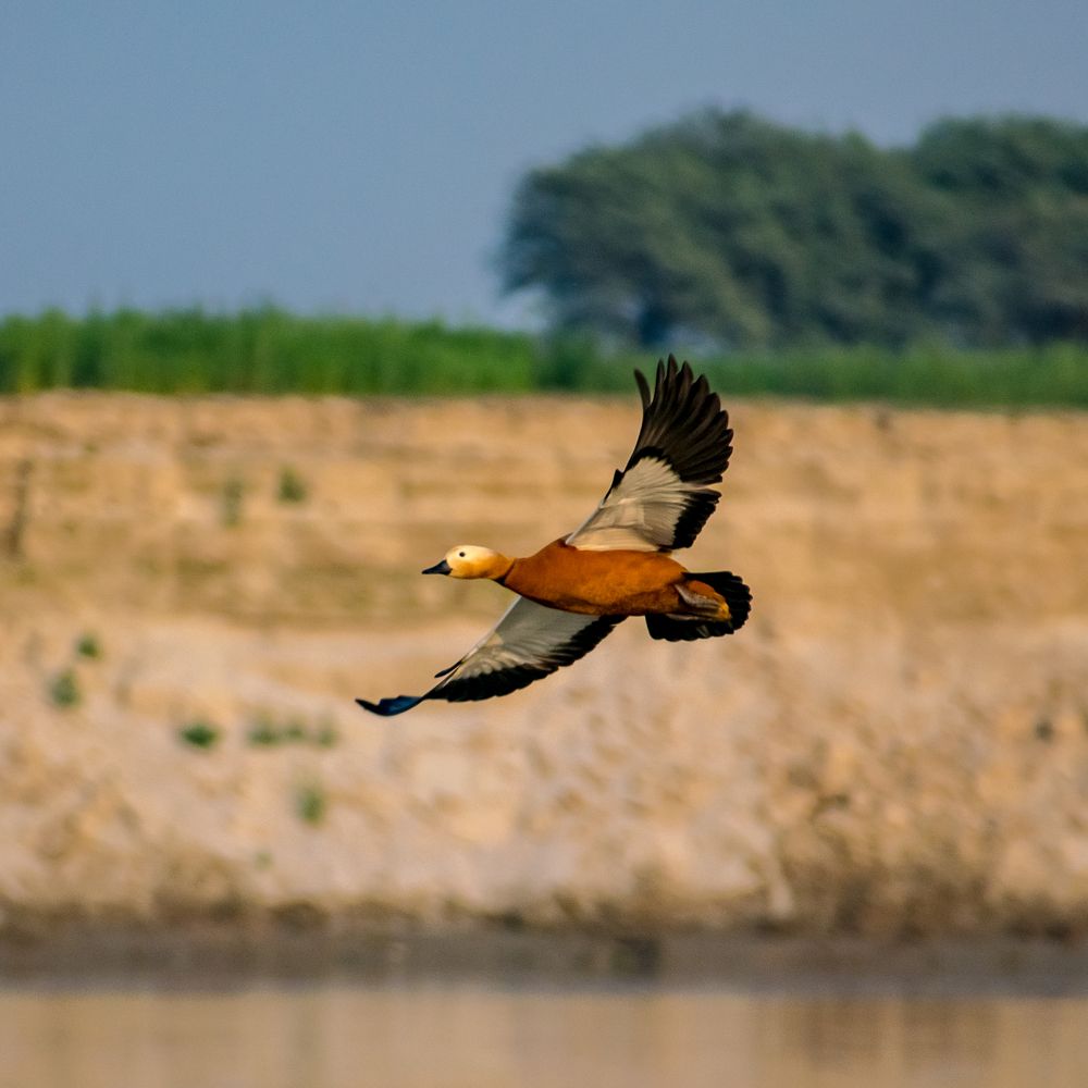 Photograph by Harkesh Kumar