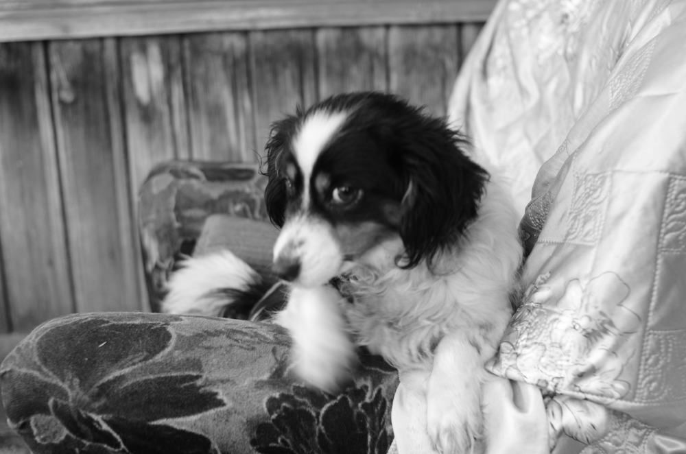 Photograph by Анастасия Кудина