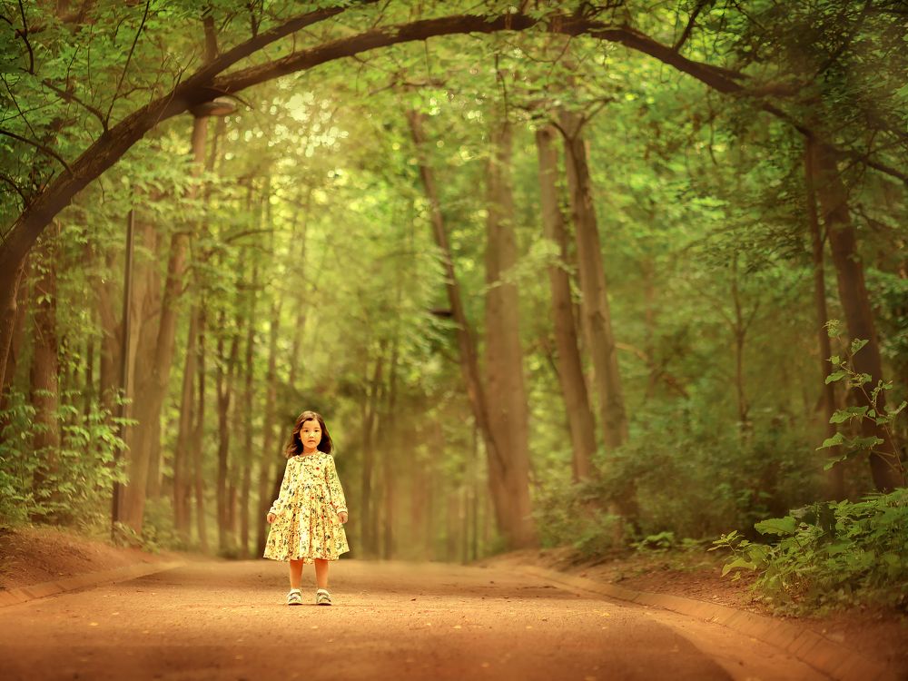 в сказочном лесу