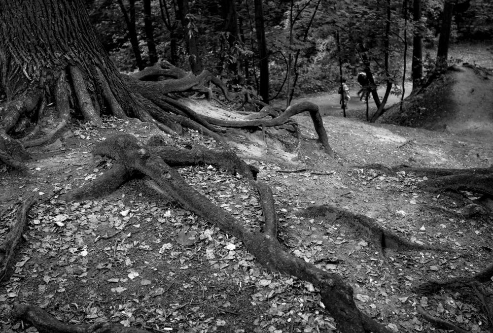 Photograph by Veronika Koneva