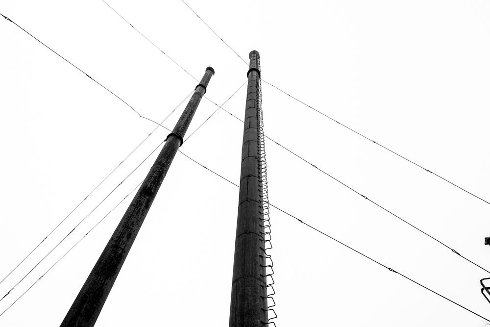 Photograph by Анна Никольская