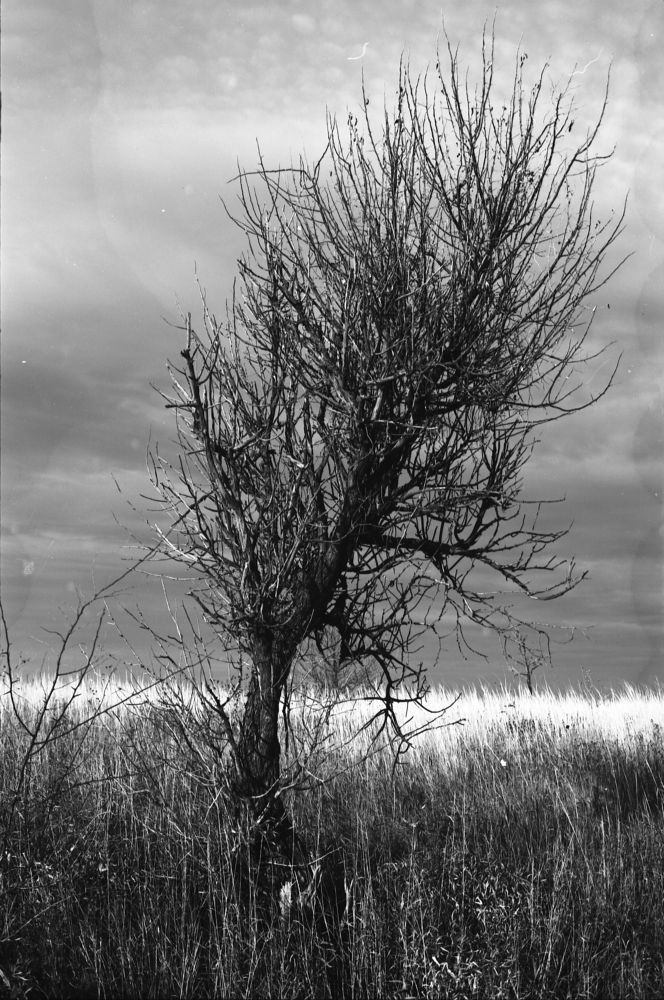 Photograph by Максим Покидышев