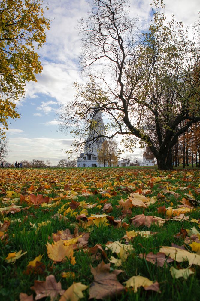 Photograph by Veronika Koneva