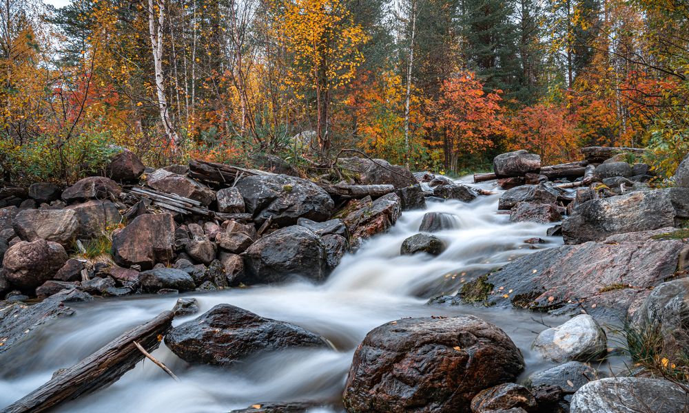 Photograph by Павел Шемякин