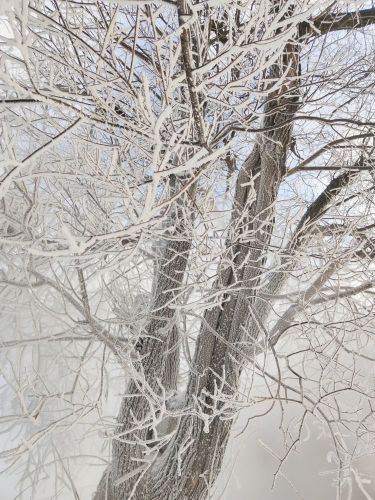 Photograph by Александра