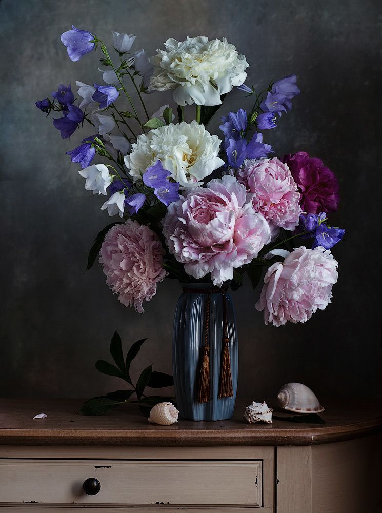 Фотография автора Алина Ланкина