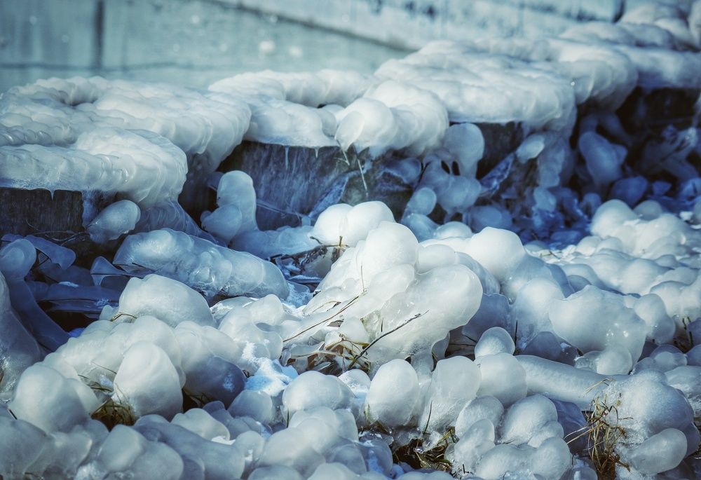 Photograph by Eva Wiedemann