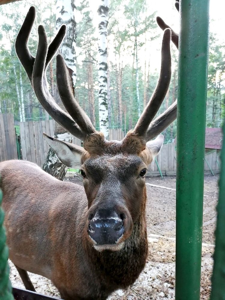 Photograph by Борис Тырков