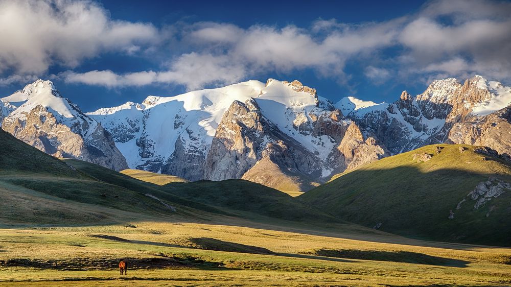 Пробуждение