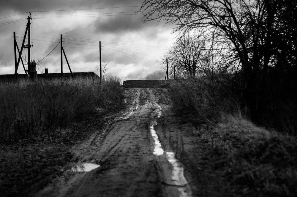 Photograph by Анастасия Матышева