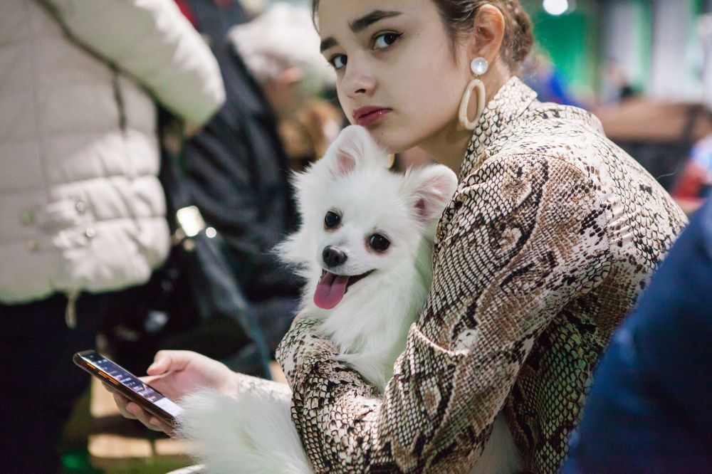 Photograph by Алексей Пирязев