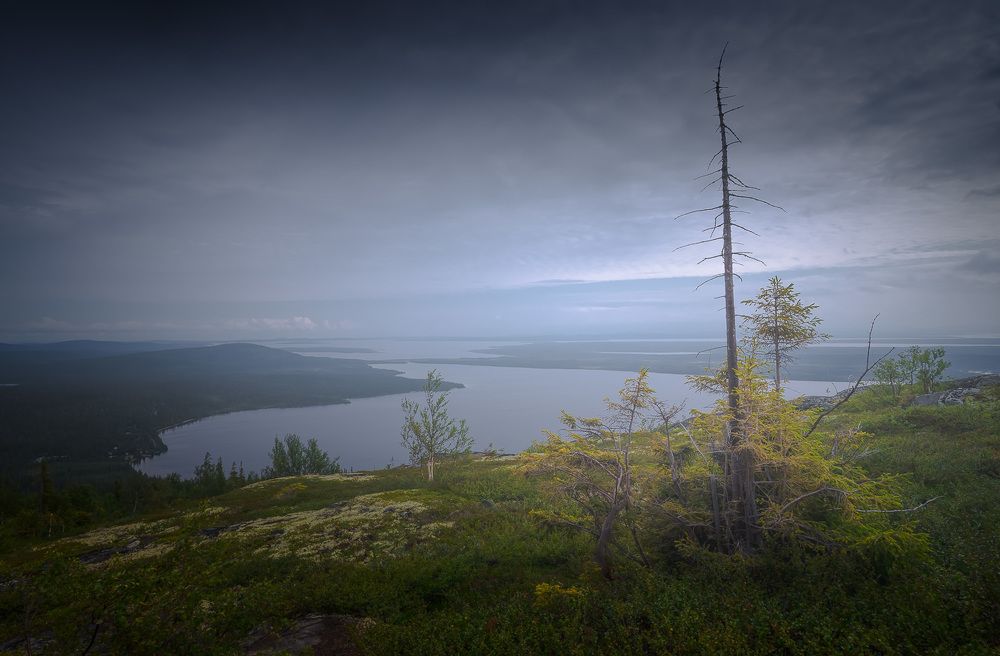 Фотография автора Светлана Морозова