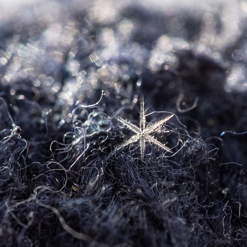 Photograph by Xeniya Kolosova