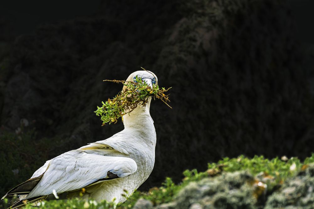 Photograph by Vitaliy Tuzov
