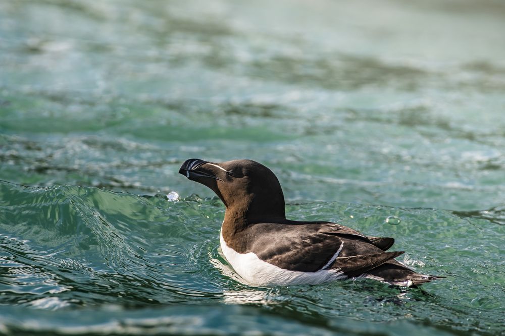 Photograph by Vitaliy Tuzov