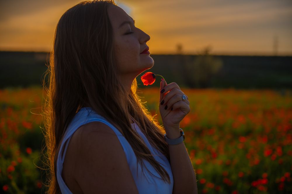 Photograph by Михаил Ноеренчук