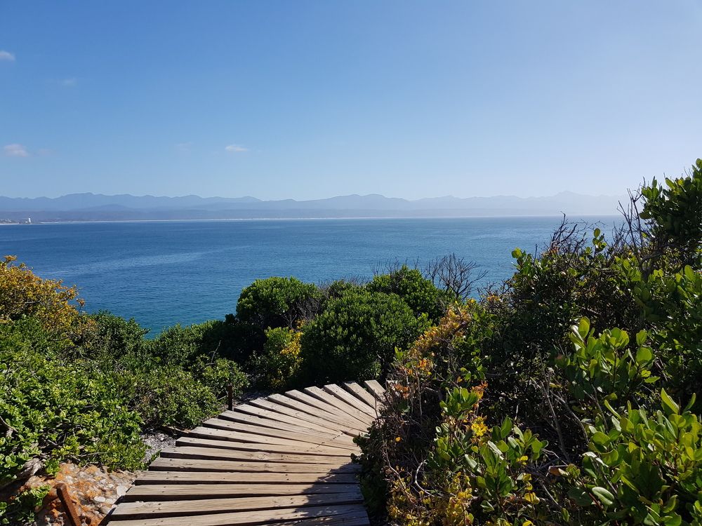 Photograph by Tanja Bantjes