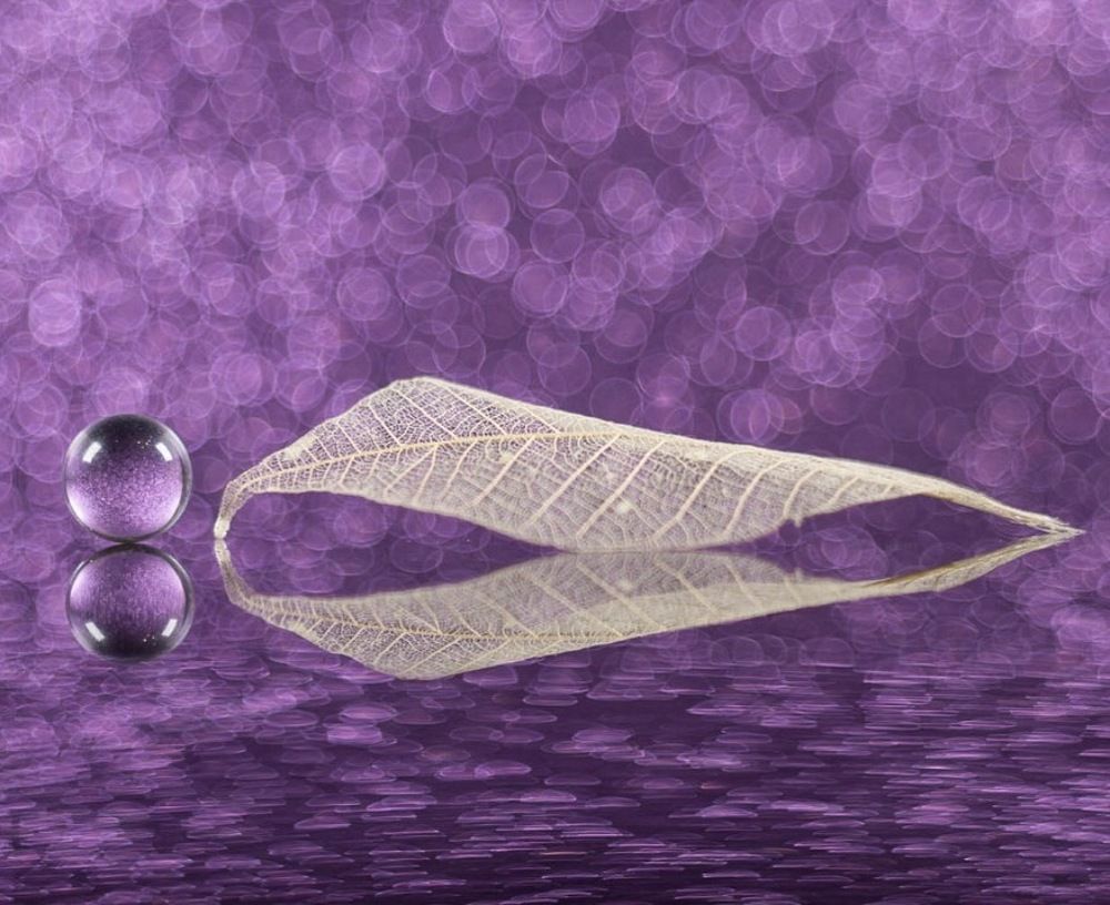 Photograph by Xeniya Kolosova