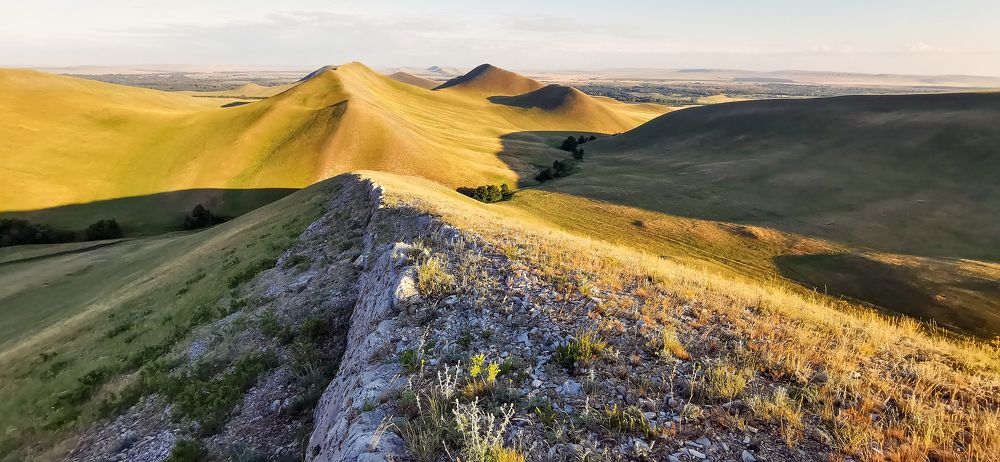 Photograph by Леонид Максименко