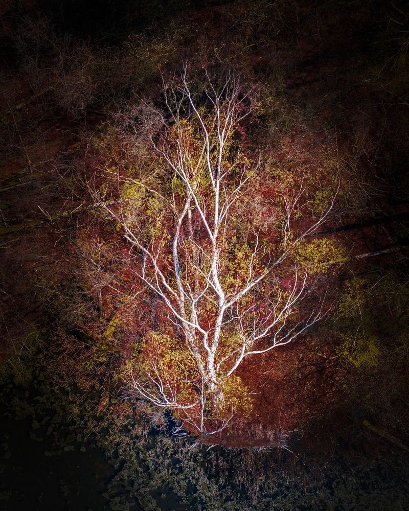 Photograph by Daniel Franc