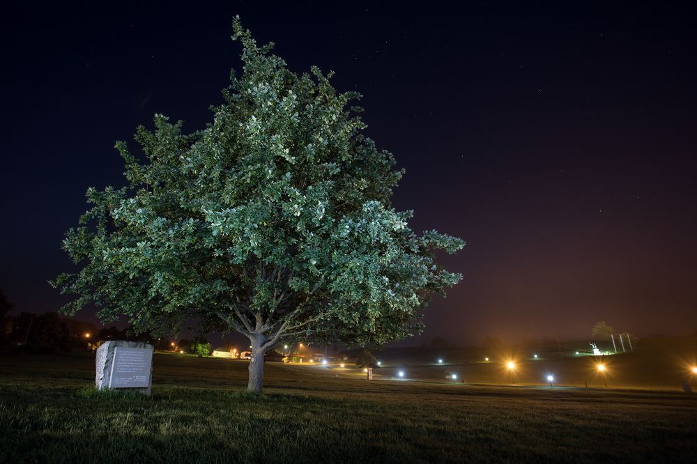 Photograph by Bojan Dzodan