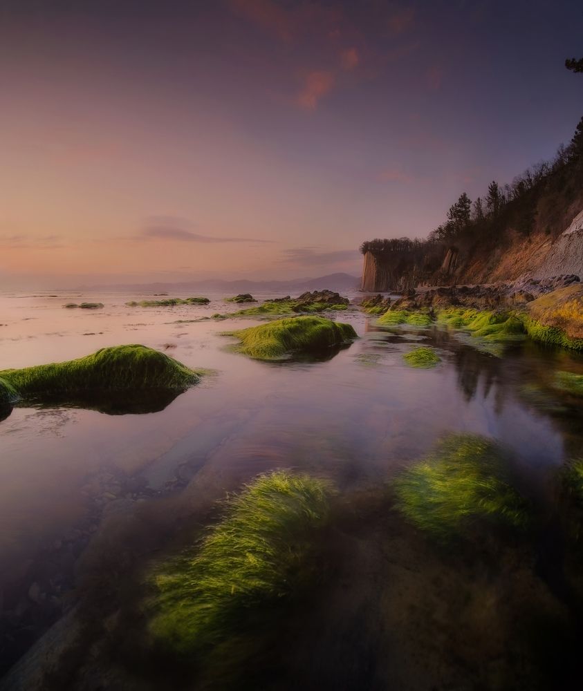 Photograph by Олеся Федосеенкова