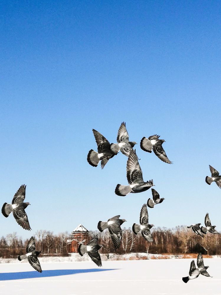 Photograph by Марина