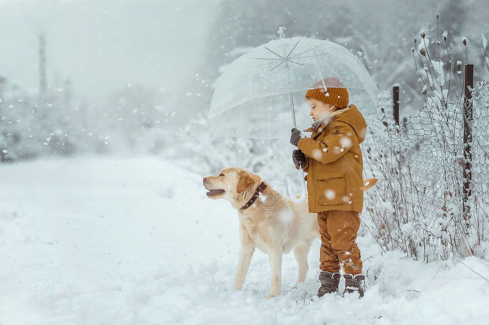 Photograph by Татьяна Лисицкая