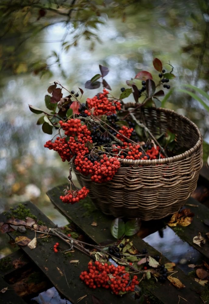 Photograph by Татьяна Кытина