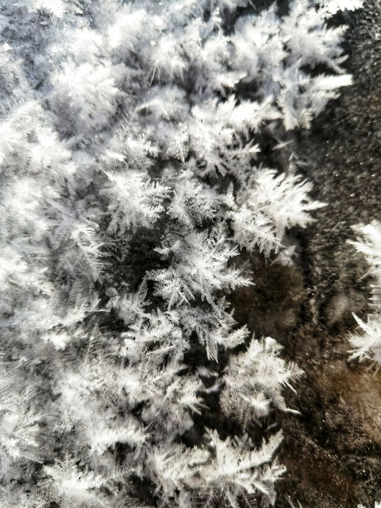 Фотография автора Евгения Снигирева