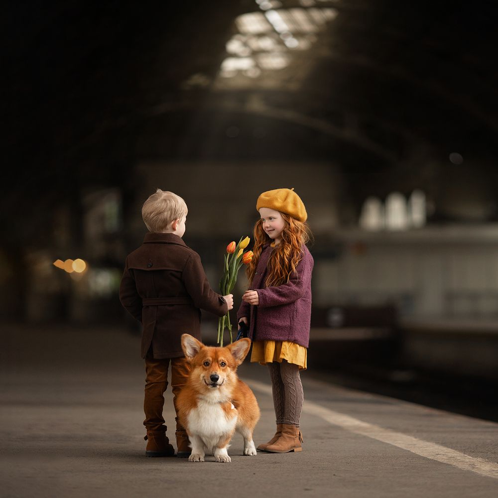 Photograph by Юлия Лоза