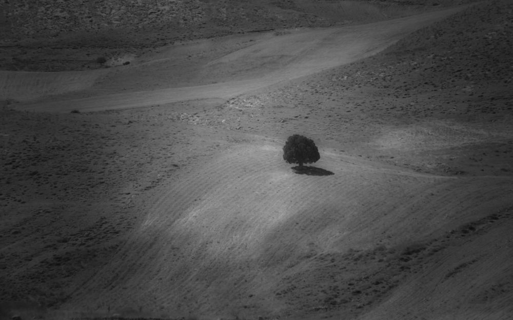 Photograph by Arman Hosseyni