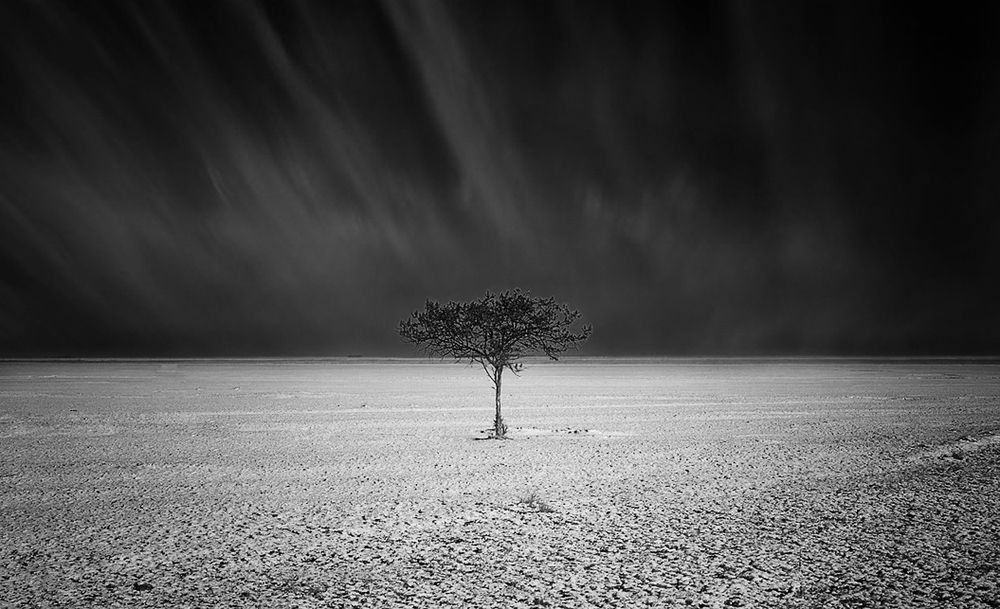 Photograph by Олег Белан