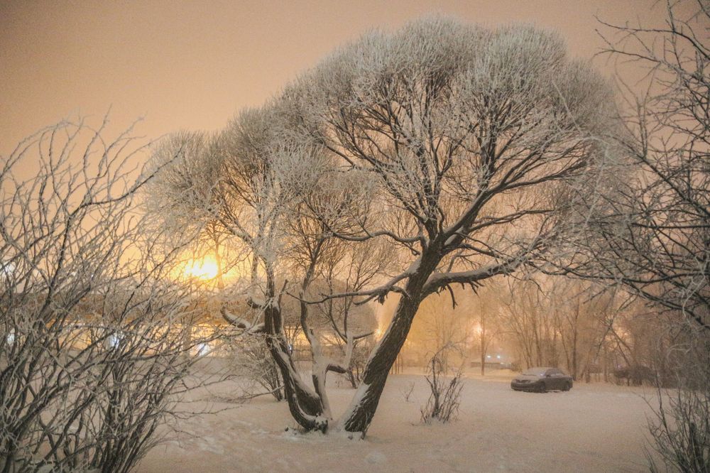 Морозный туман