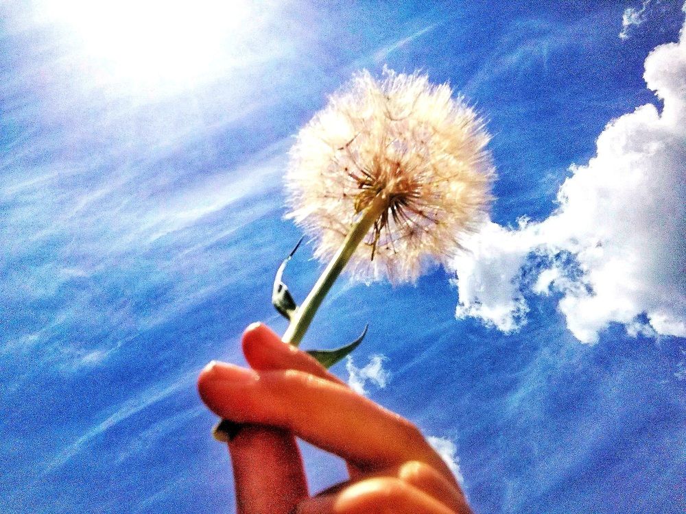 Photograph by Жанерке Хайбулда