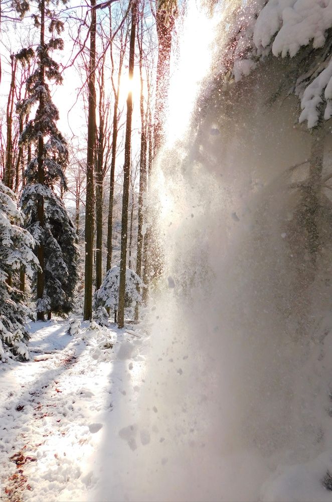 Photograph by Franka Pisaric