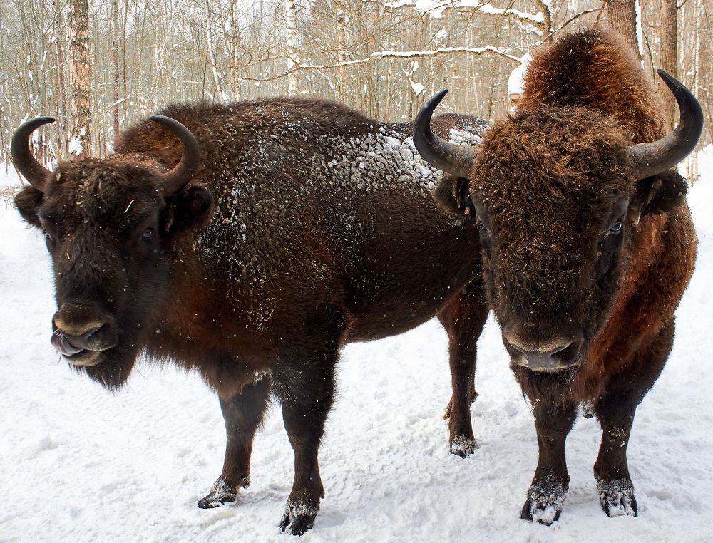 Photograph by Иван Волков