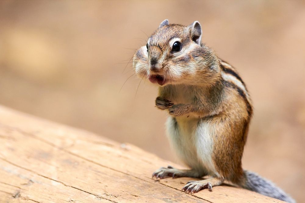 Photograph by Иван Волков