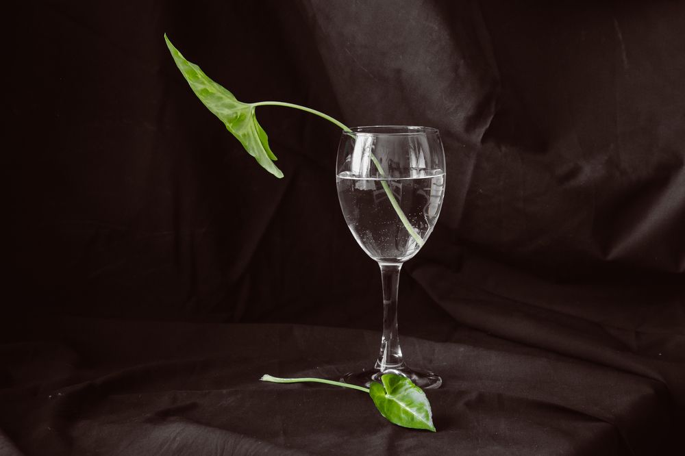 Photograph by Ольга Гараева