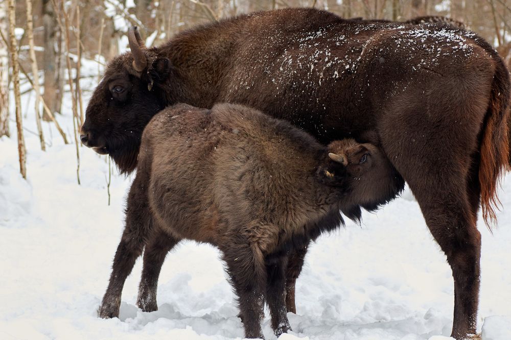 Photograph by Иван Волков