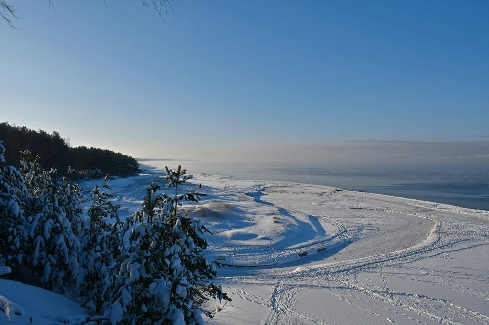 Photograph by Svetlana Jarbuse