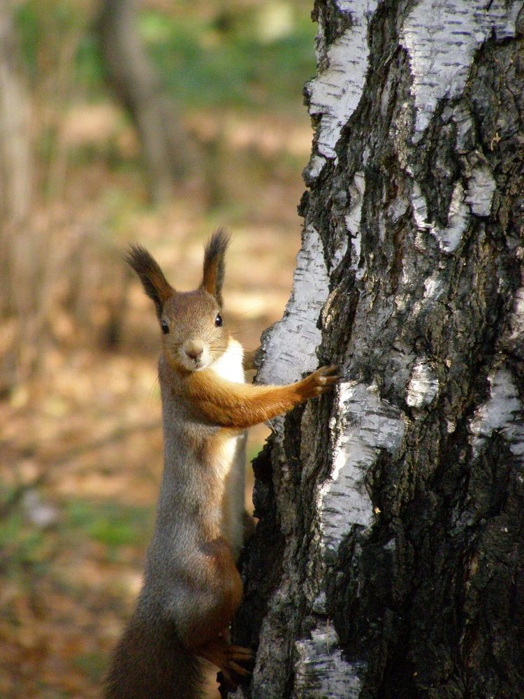 Photograph by Ирина Вассерлауф