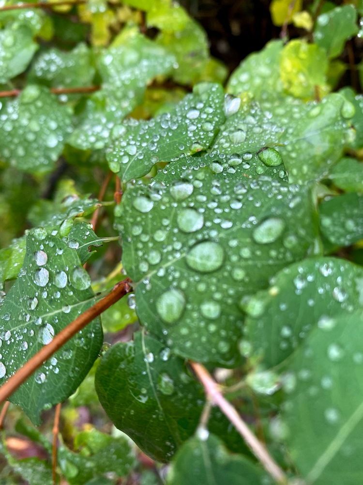 Photograph by Елена Хорошильцева