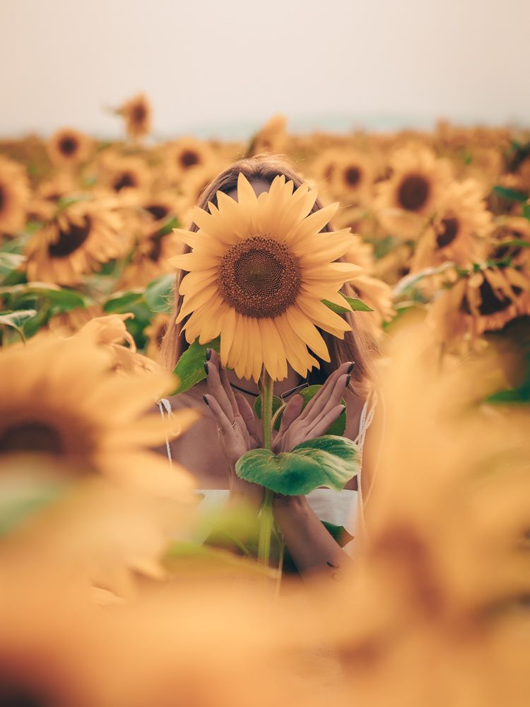 Photograph by Дмитрий Емельяненко