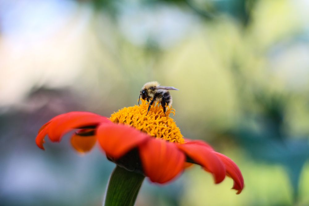 Photograph by Анна Дорофеева