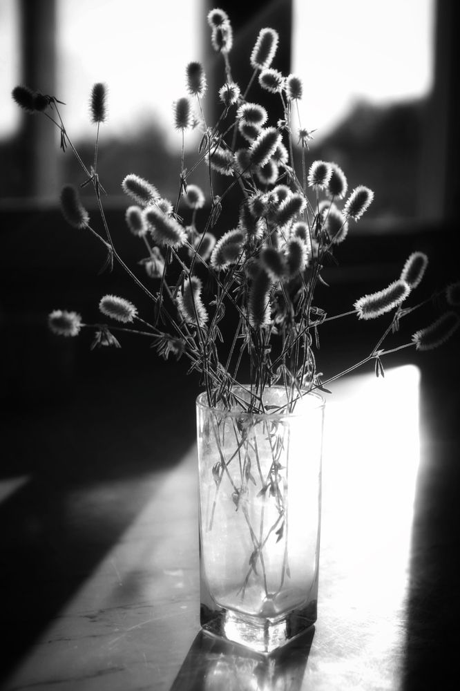 Photograph by Елена Хорошильцева